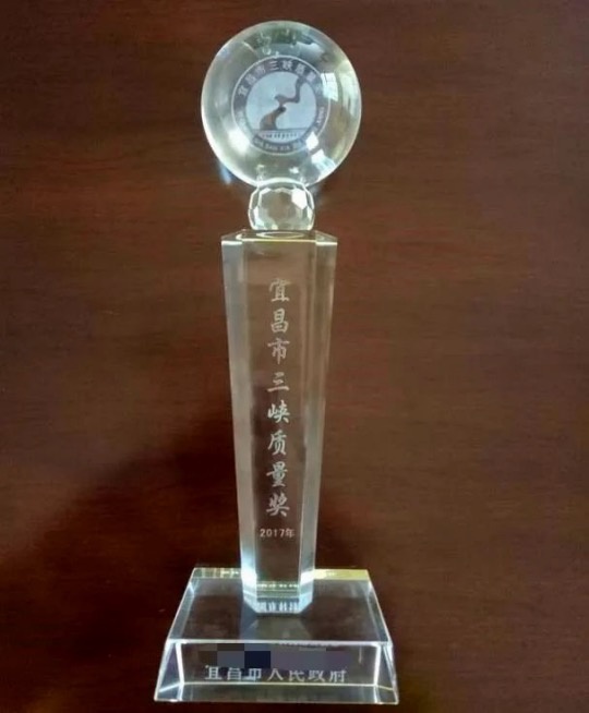 CA88(�й�)��ӭ��