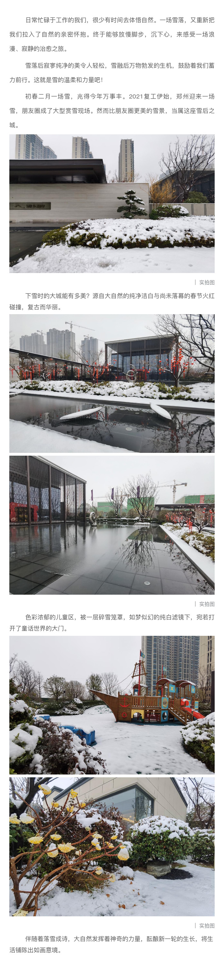 2021浪漫开年，，，，，，，共赏一场鹅毛大雪！